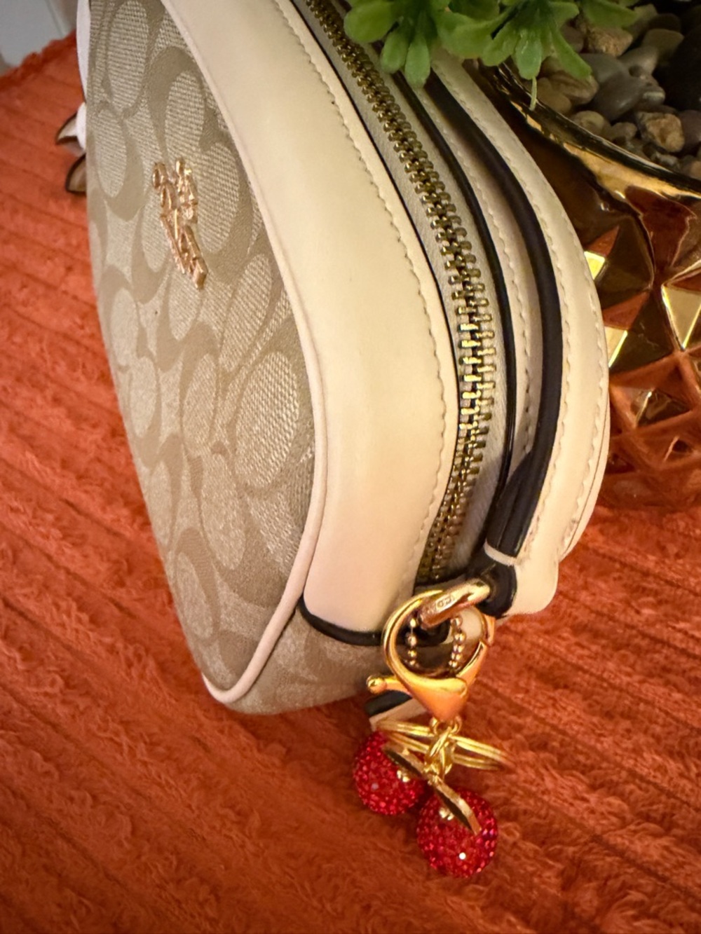 Coach Signature Monogram Crossbody Bag in Beige - Picture 11 of 16